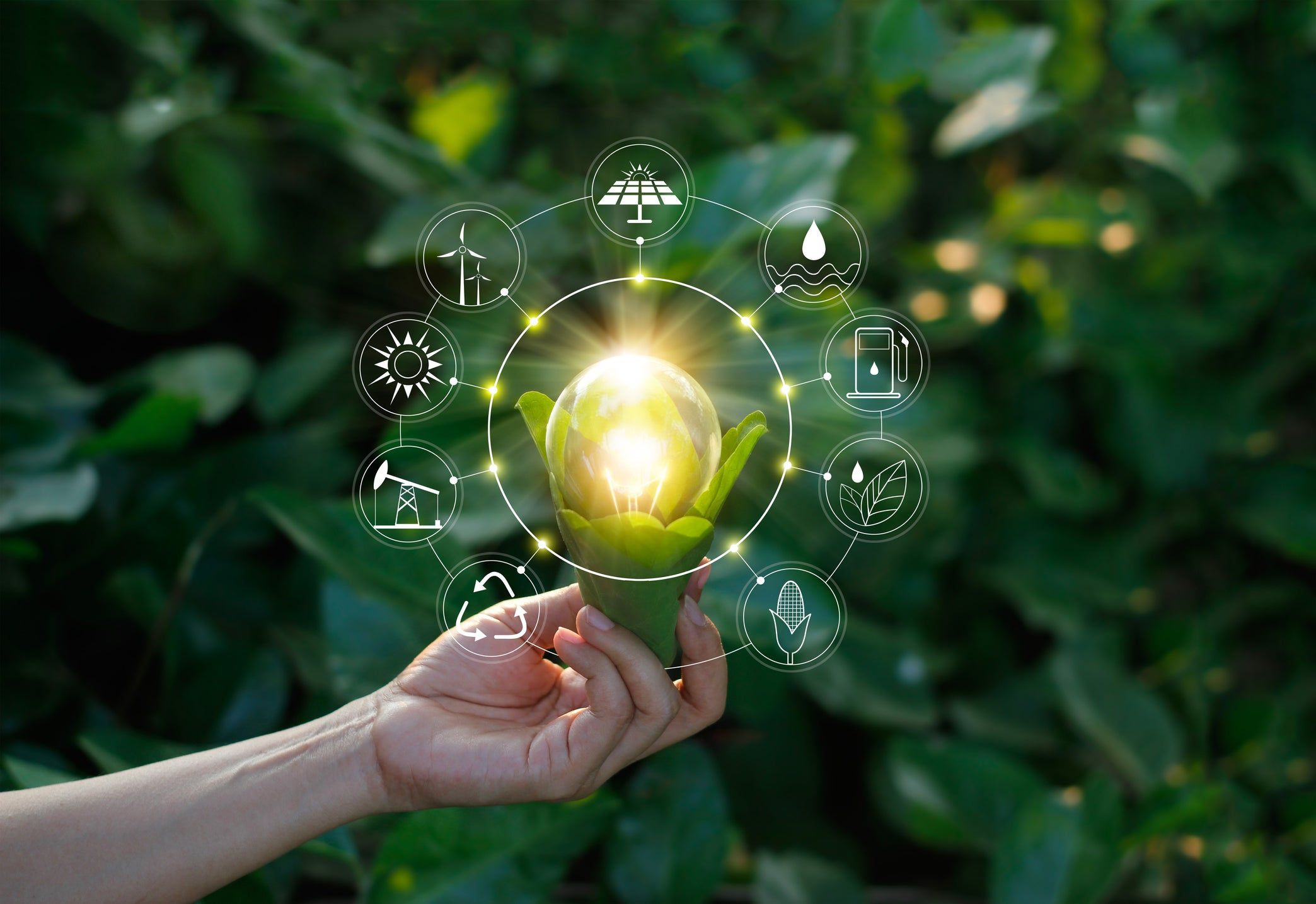 "Neom City: Where Dreams Meet Innovation - Saudi Arabia's Technological Wonder"