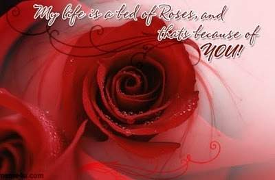 Red Roses Wallpaper with Quotes