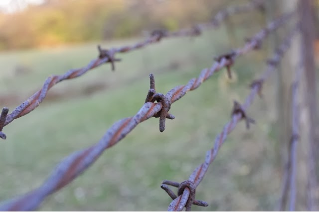 Nikon 1 AW1 Sample Image