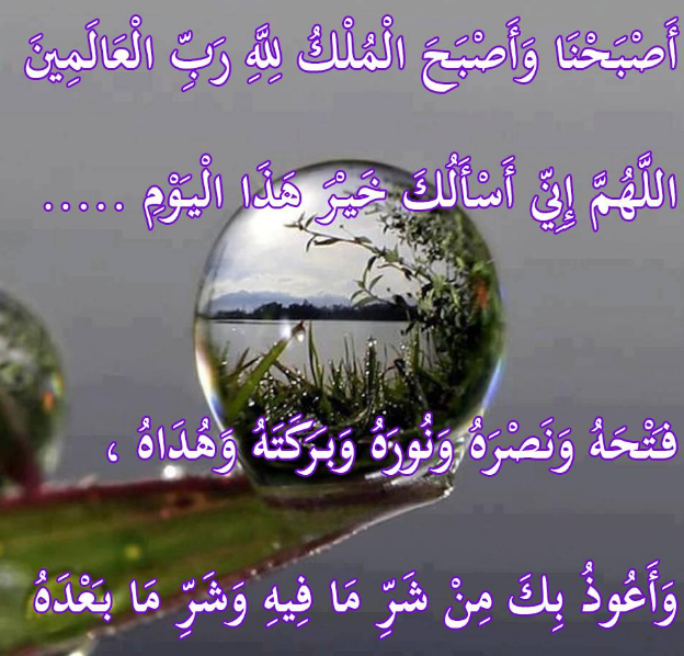 صور اصبحنا واصبح الملك لله اجمل صور الصباح عشق الحياة