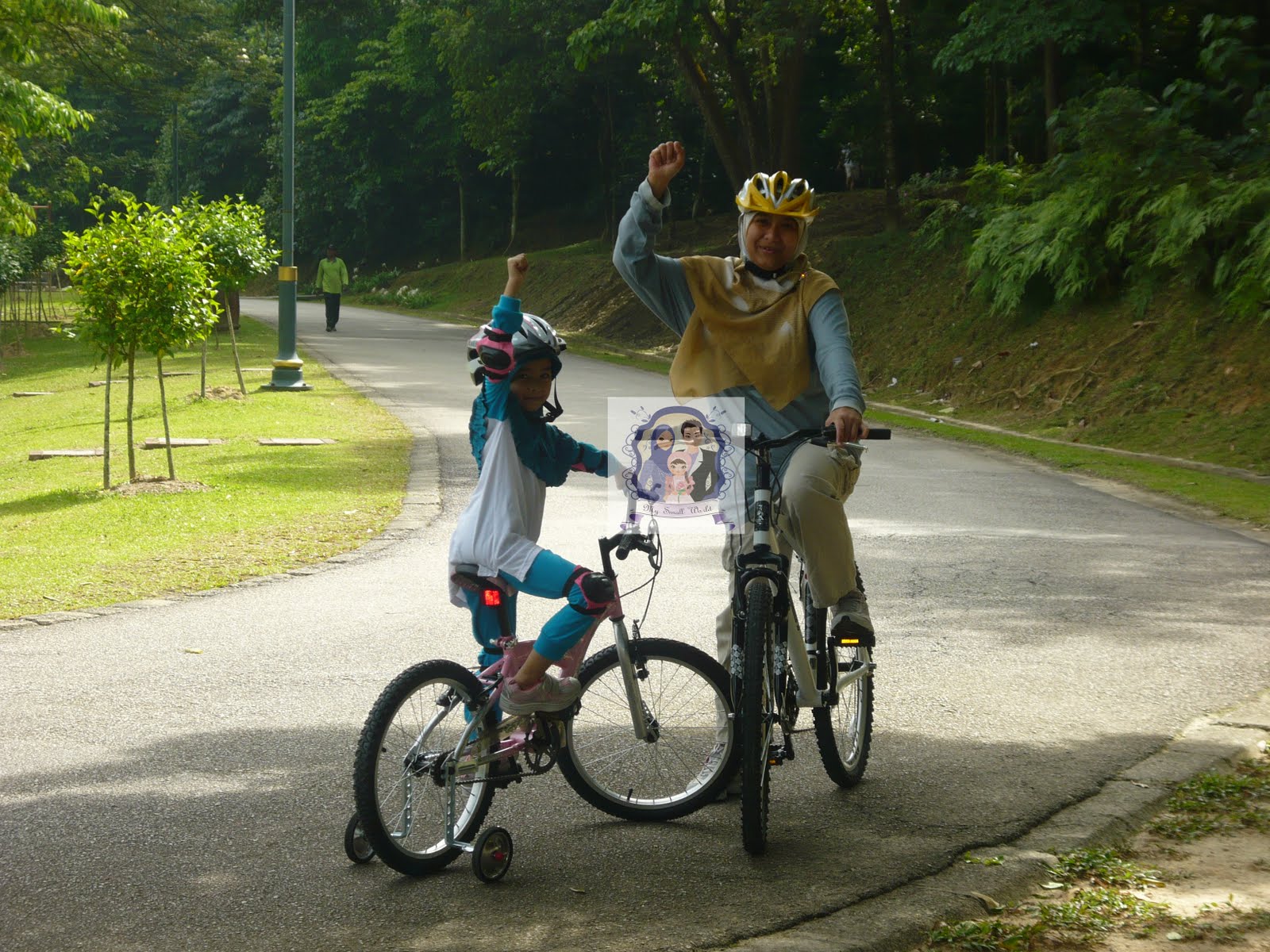 Carrier Basikal Kereta