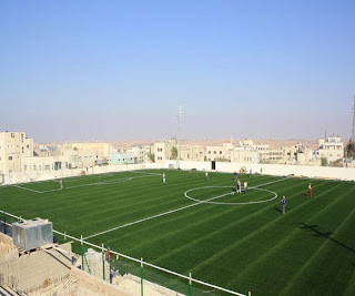 sports grass, artificial grass, TurfSoccer