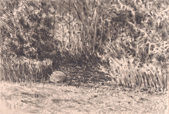 Ink sketch on toned tan paper of path entering woods with large rock on left, dense foliage in background