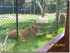 summer 2010 040