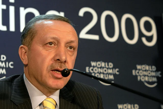 OPINION | Dark shadows on Erdogan by Federica Fanuli