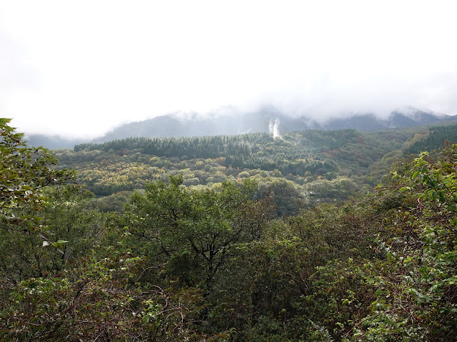 大休峠入り口に向かう山道　美しい大山の森