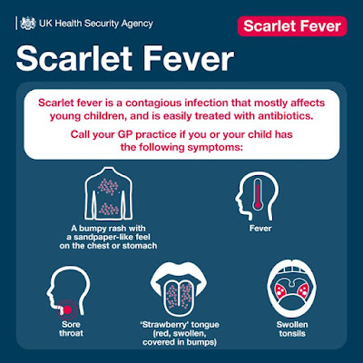 Text and small illustrative drawings depicting symptoms of scarlet fever - including fever, spots,, sore throat, swollen tonsils and red swollen tongue