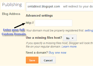 Inside blogger blog custom domain settings