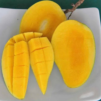 Warna Isi Buah Mangga Chokanan