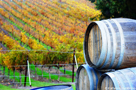 Livermore Wine Country Northern California Weekend Getaway