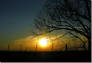 clip_image001