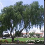 clip_image002[4]