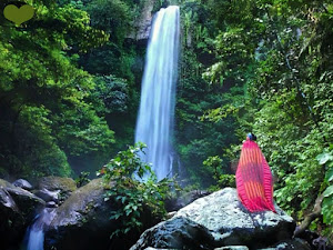 Indahnya Air Terjun Way Tayas di Pegunungan Raja Basa Kalianda