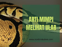 Arti Mimpi Melihat Banyak Ular Di Jalan