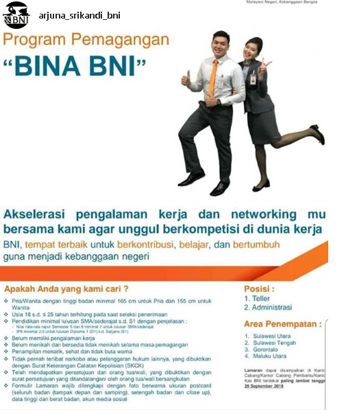 Lowongan Kerja Bina BNI PT Bank Negara Indonesia (Persero) Tbk Tahun 2018