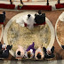 Pope Francis Marries 20 Cohabiting Couples & Bride who’s Already a Mum