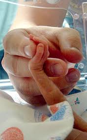 FotoFoto Bayi Prematur  Seputar Informasi Bayi Prematur