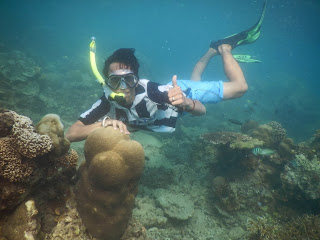 Snorkeling di Pulau Pari