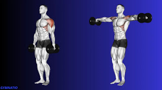 Dumbbell lateral raise
