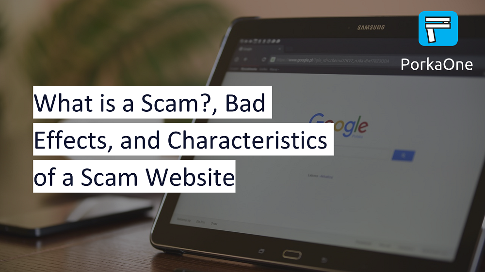 What is a Scam?, Bad Effects, and Characteristics of a Scam Website