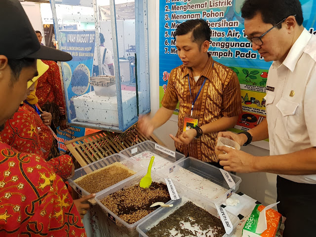 Musnahkan Sampah Organik, DLH Muba Kembang Biak Lalat Tentara Hitam (BSF)