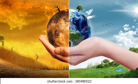 How Global Warming Affects the Environment