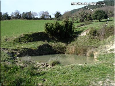 Salimos a una verde pradera