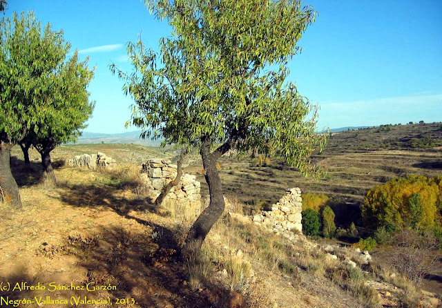 negron-vallanca-valencia-cementerio-viejo