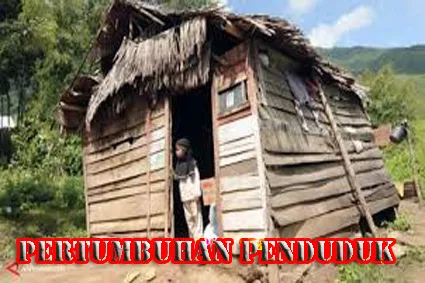 Pertumbuhan penduduk Indonesia abad ke-19