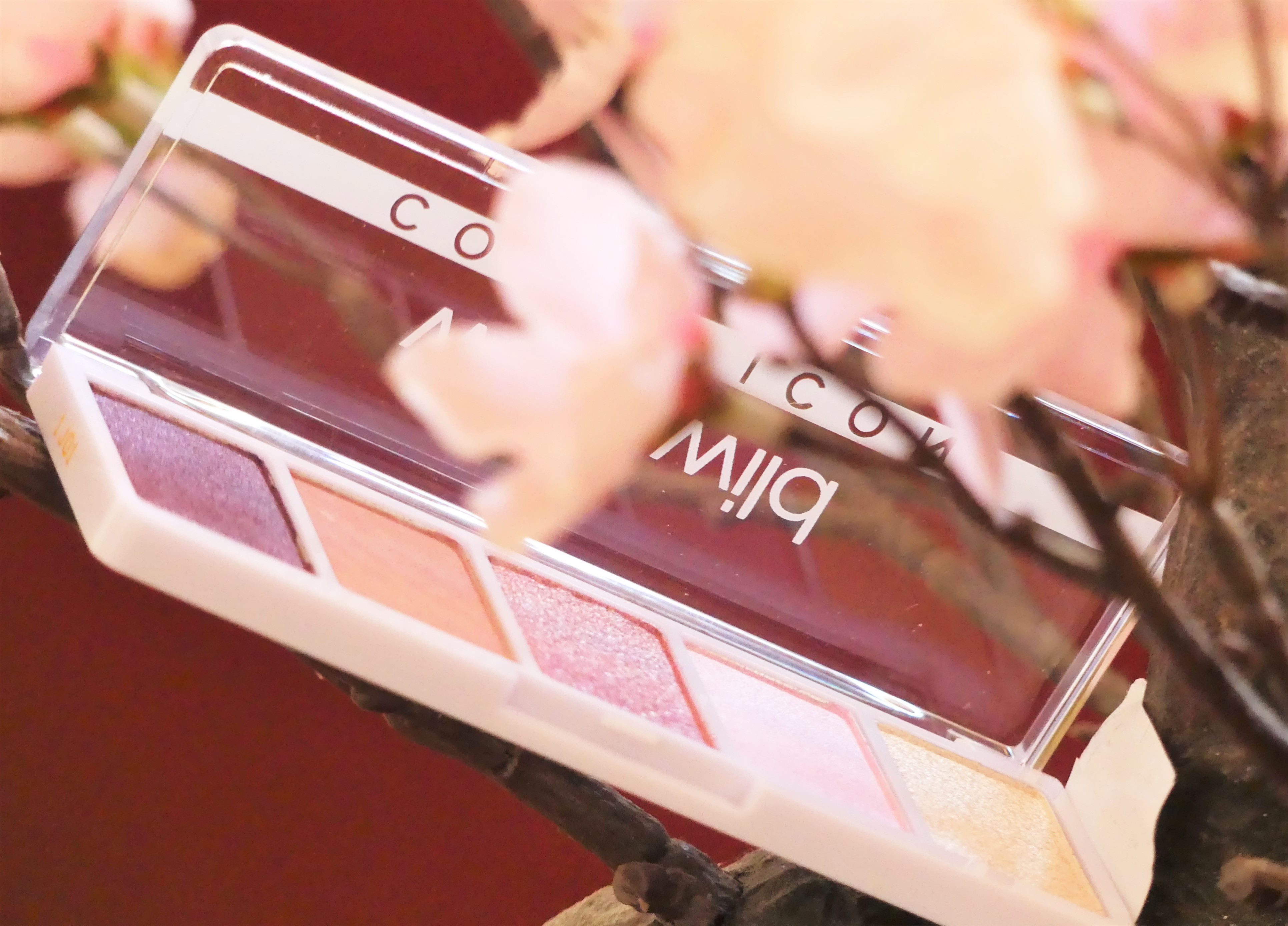 Palette Wet N Wild