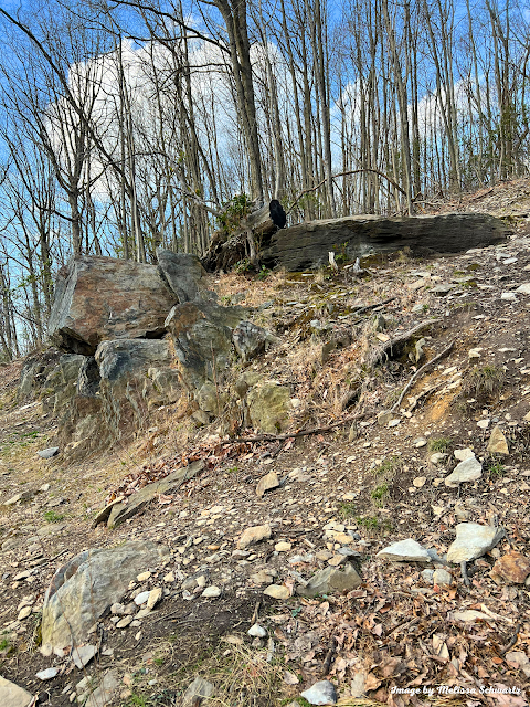 The talus slopes and rock outcrops of Mount Joy add extra interest to a hike.