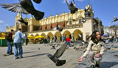 How Good Is The New Poland Law