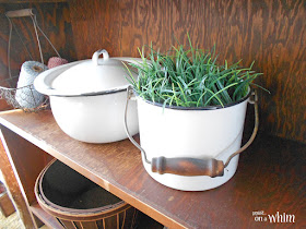 Vintage Enamelware Bucket Planter | Denise on a Whim
