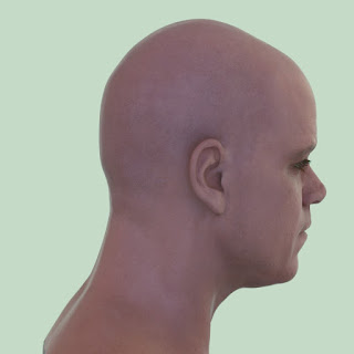 3d model Matt Damon head