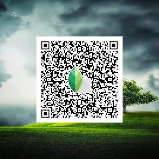 snapseed qr codes