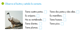 http://primerodecarlos.com/SEGUNDO_PRIMARIA/tengo_todo_4/root_globalizado4/libro/6169/ISBN_9788467808803/activity/U04_141_01_AI/visor.swf