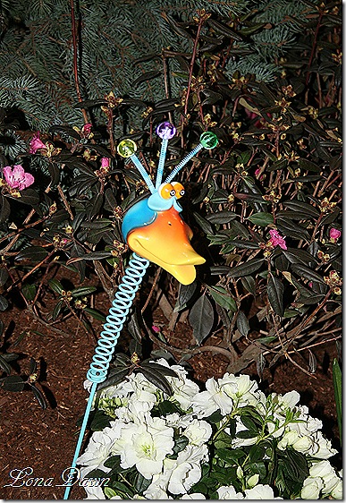 HGS_SillyBird2