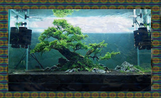 Aquascape Tema Bonsai