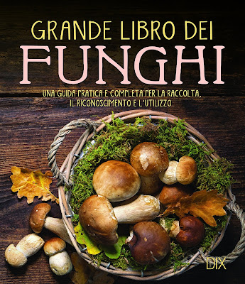 https://www.amazon.it/funghi-completa-raccolta-riconoscimento-lutilizzo/dp/8897427049/?&_encoding=UTF8&tag=siavit0d21-21&linkCode=ur2&linkId=f098bf2fcbd731fdc4c47eb9c7a4757c&camp=3414&creative=21718