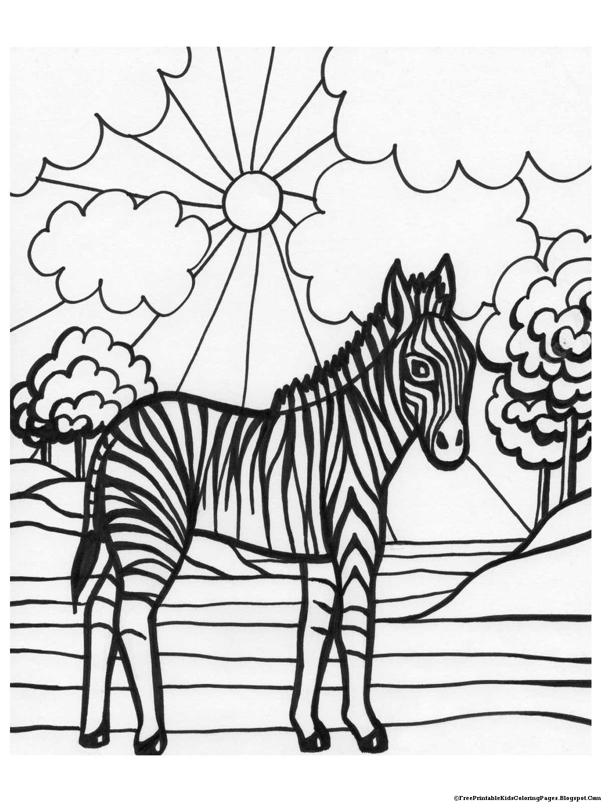 Download Zebra Coloring Pages - Free Printable Kids Coloring Pages