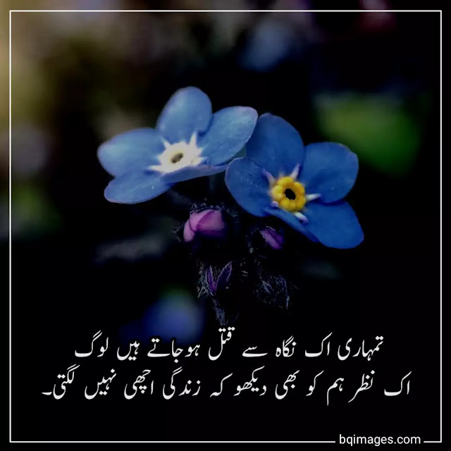 whatsapp dp in urdu shayari