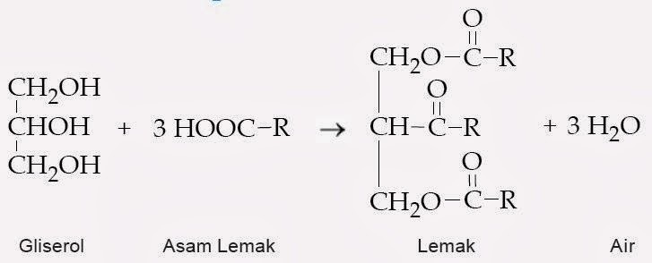 Tata Nama Lemak, Aturan Penamaan, Contoh, Kimia