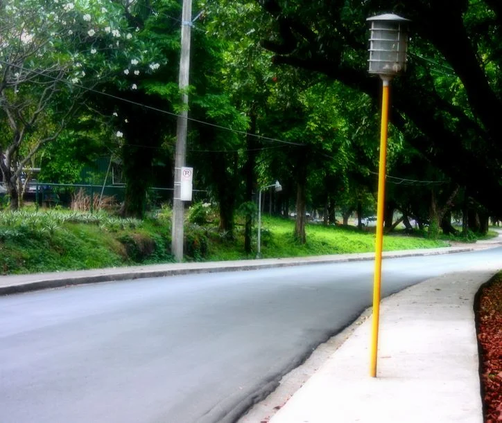 A quiet corner inside UP Diliman