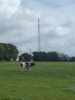 Antenne relai de Trégarvan