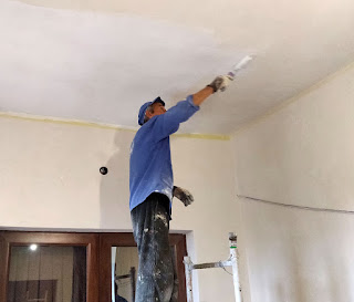 Sally paints the ceiling