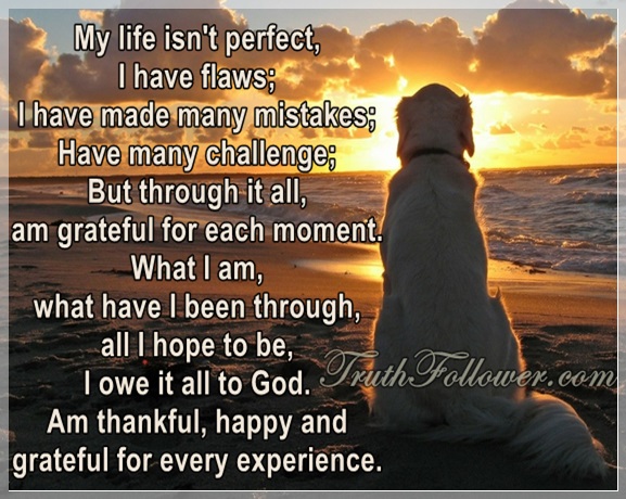 My Life Isn T Perfect Imperfection Quotes