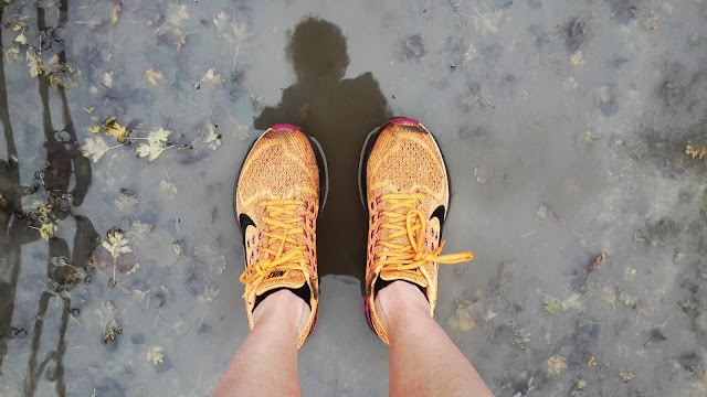 Project 366 2016 day 326 - Wet Monday morning run // 76sunflowers