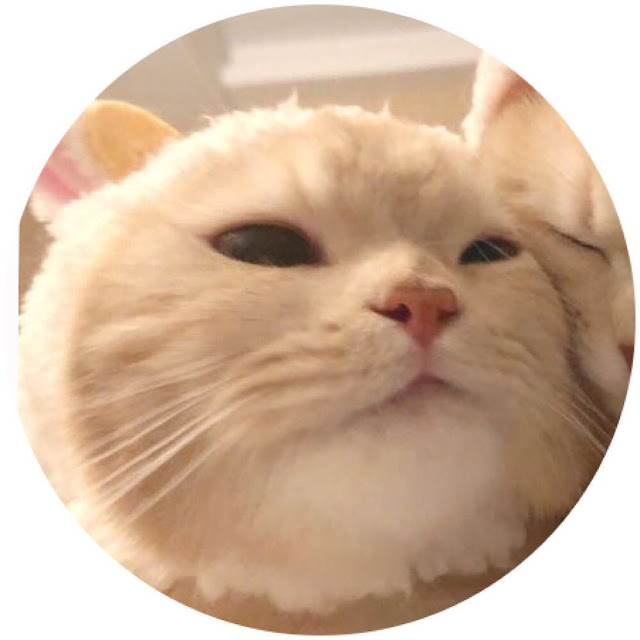 Funny Discord PFP