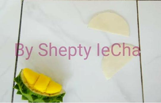 Shepty IeCha Blog