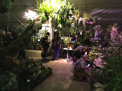 Inside the Princess of Wales Conservatory at Kew